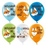 Корги (12"/30см) Ассорти Пастель 25 шт. _1