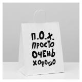Пакет "Просто очень хорошо" (24*14*30см) подарочный 1 шт._1