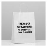 Пакет "Загадочная" (24*14*30см) подарочный 1 шт._1