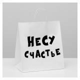 Пакет "Несу счастье" (31*19,5*34см) подарочный 1 шт._1