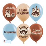 С Днем Рождения! (сердитая кошка) (12''/30 см) Ассорти, пастель, 2 ст, 25 шт._1