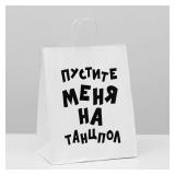 Пакет "Пустите меня на танцпол" (24*14*30см) 1 шт._1
