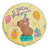 Круг (18"/46 см) Капибара, С Днем Рождения, 1 шт._1