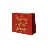 Пакет "Подарок от Деда Мороза" (12*15*5,5см) подарочный 1 шт._1