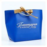 Пакет Благополучия в Новом году, 19*20*9 см, 1 шт_1