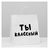 Пакет "Ты классный" (31*19,5*34см) подарочный 1 шт._1