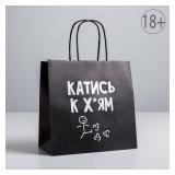Пакет "Катись" (22*22*11см) подарочный 1 шт._1