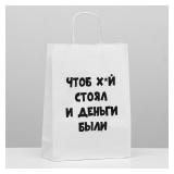 Пакет "Чтоб деньги были" (24*10*33см) подарочный 1 шт._1