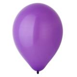 Фиолетовый (Purple) (12"/30см) Э/Пастель 50 шт._1